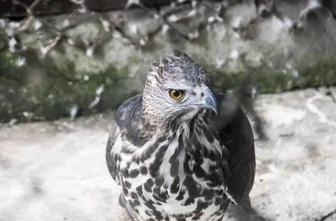 DSC 0646 스톡 사진