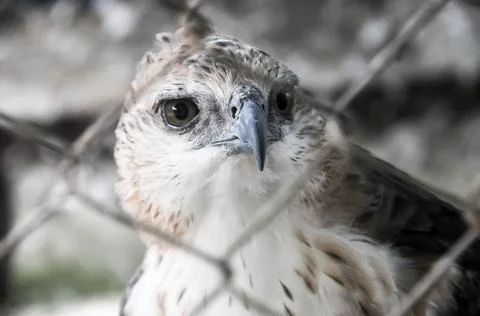 DSC 0648 스톡 사진