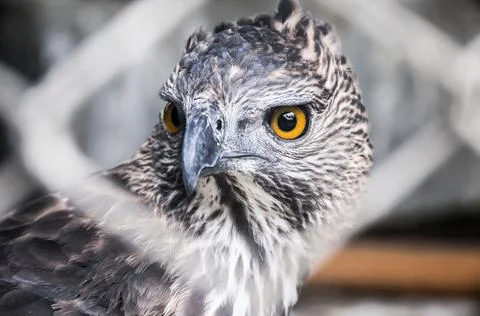 DSC 0652 Stock Photos