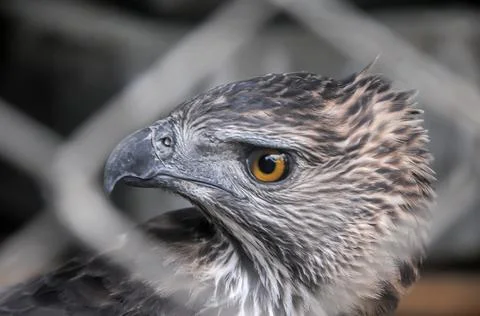 DSC 0656 Stock Photos