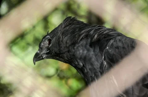 DSC 0658 Stock Photos