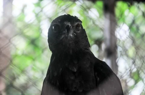 DSC 0663 Stock Photos