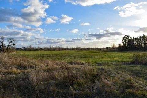 DSC 0666 Stock Photos