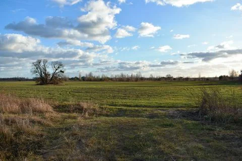 DSC 0668 Stock Photos