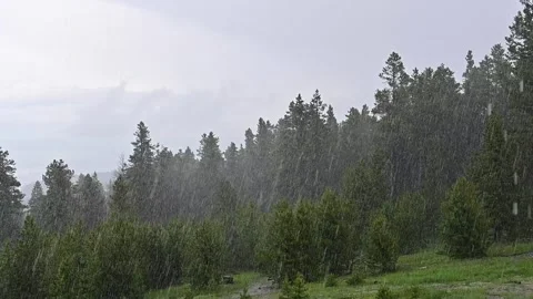 DSC 0682 Vidéo 244333425