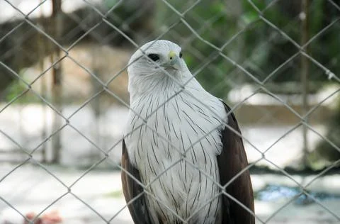 DSC 0693 Stock Photos