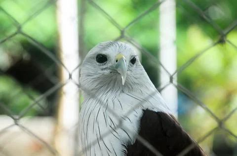 DSC 0694 스톡 사진