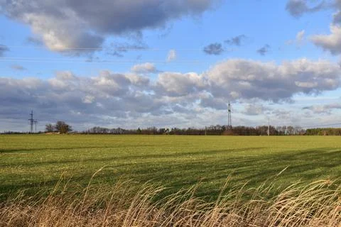 DSC 0697 写真素材