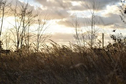 DSC 0804 Stock Photos