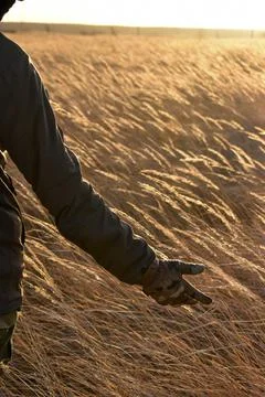 DSC 0816 Stock Photos