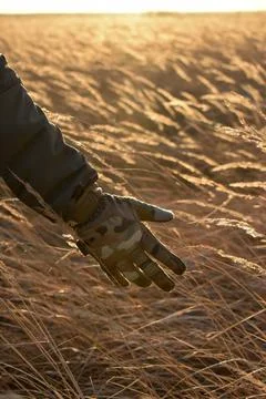 DSC 0817 Stock Photos