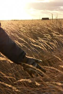 DSC 0819 Stock Photos