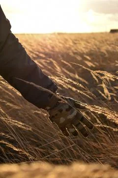 DSC 0820 Stock Photos