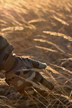 DSC 0824 Stock Photos