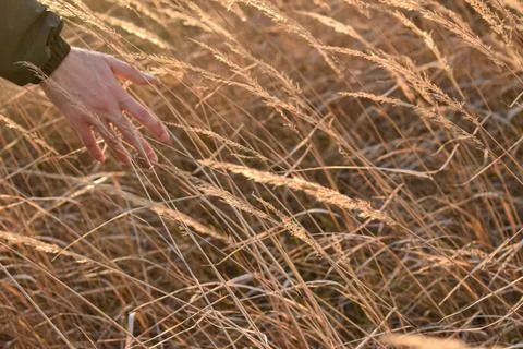 DSC 0827 Stock Photos