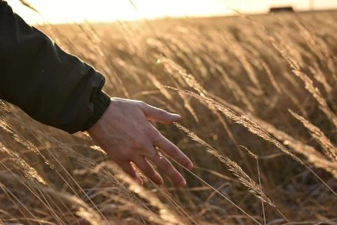 DSC 0831 Stock Photos