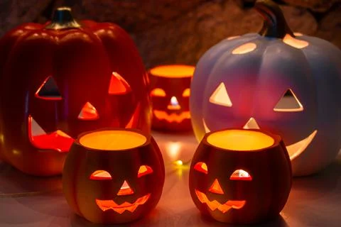 DSC 0831 스톡 사진