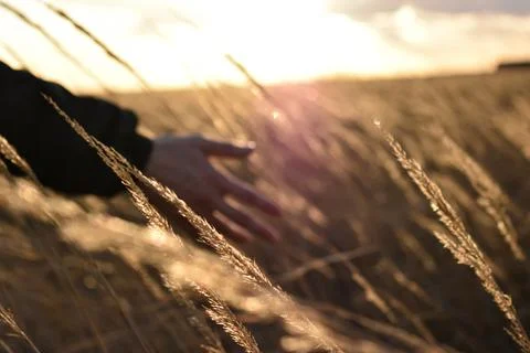 DSC 0832 Stock Photos