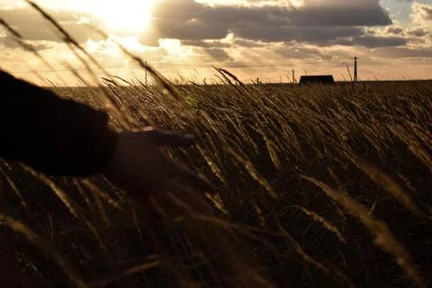 DSC 0833 写真素材