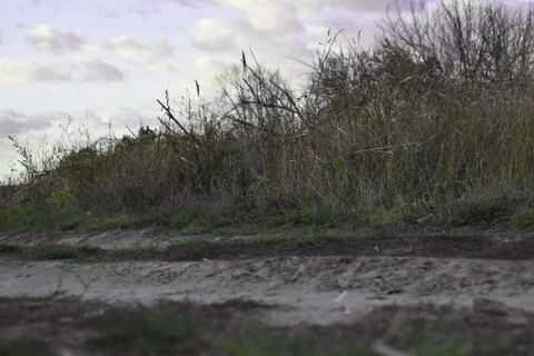 DSC 0846 Stock Photos