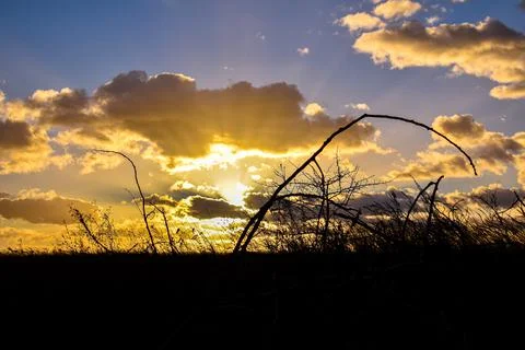 DSC 0853 Stock Photos