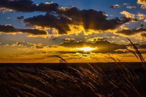 DSC 0902 Stock Photos