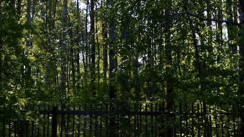 DSC 1 Stock-Footage 113275735