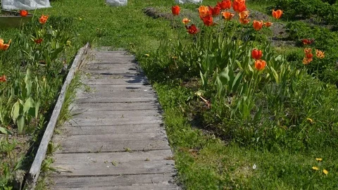 DSC 11 Stock-Footage 113275963