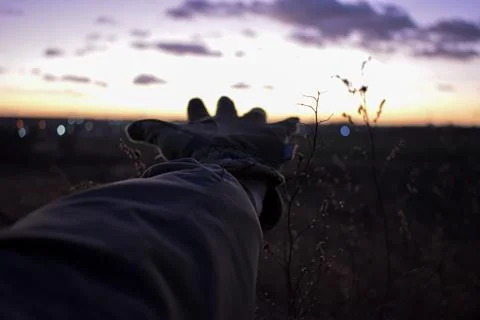 DSC 1235 Stock Photos