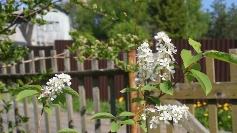 DSC 13 Stock-Footage 113277036