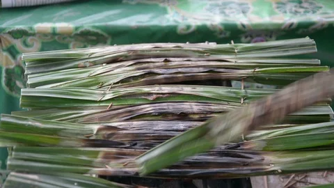 DSC 1868-is Stock Footage 90157726