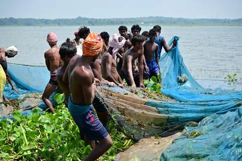 DSC 2296 Stock Photos