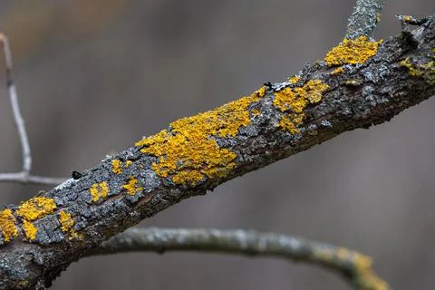 DSC 2797 Stock-Fotos