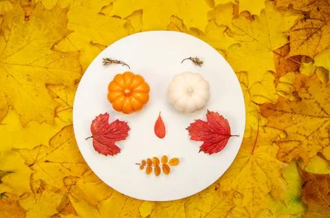 DSC 2856 Stock Photos