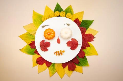 DSC 2858 Stock Photos