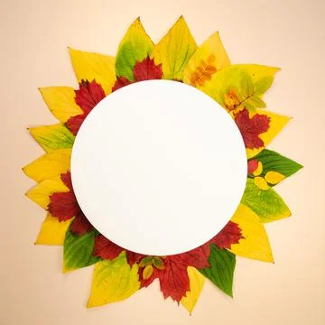 DSC 2862 Stock Photos