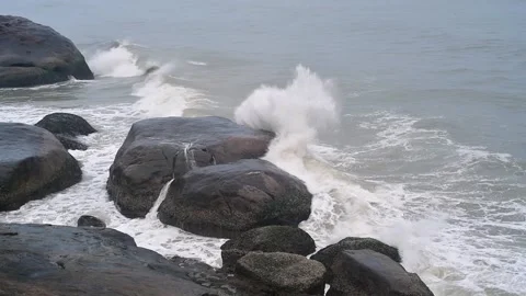 DSC 2923a Stock Footage 195892370