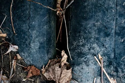 DSC 3029 Stock Photos