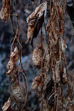 DSC 3032 Stock Photos