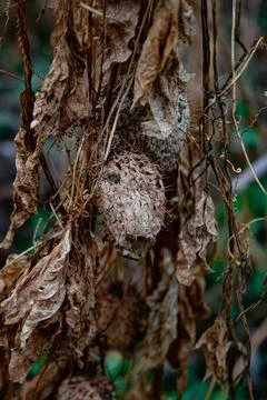 DSC 3033 Stock Photos