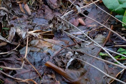 DSC 3047 Stock Photos