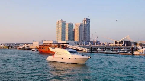 DSC 3058 2 Stock Footage 194781586