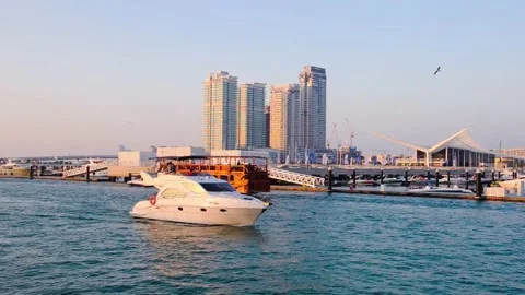 DSC 3058 3 Stock Footage 194781587