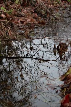 DSC 3064 Stock Photos