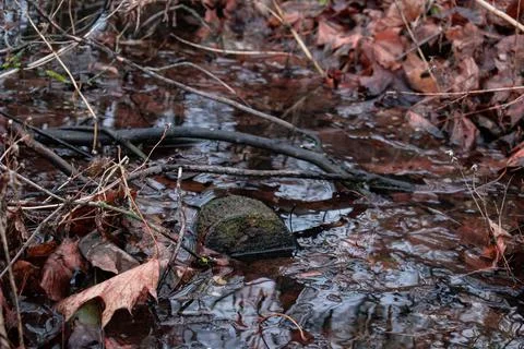 DSC 3068 Stock Photos