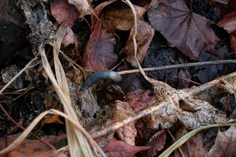 DSC 3072 Stock Photos