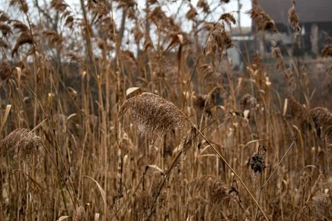 DSC 3074 Stock Photos