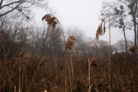 DSC 3077 Stock Photos