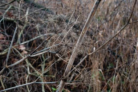 DSC 3112 Stock Photos