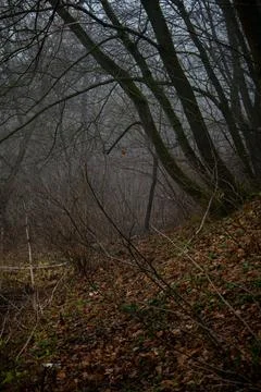 DSC 3117 Stock Photos